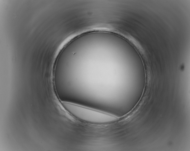 X0000089761240200706210947