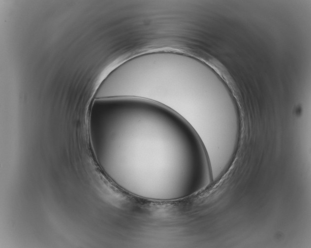 X0000089761242200706210947