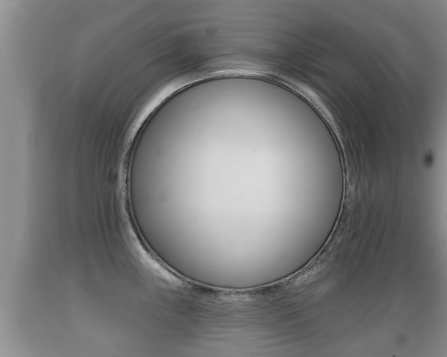 X0000089761243200706210947