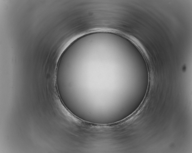 X0000089761244200706210947