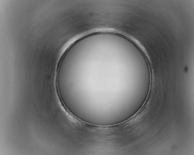 X0000089761245200706210947