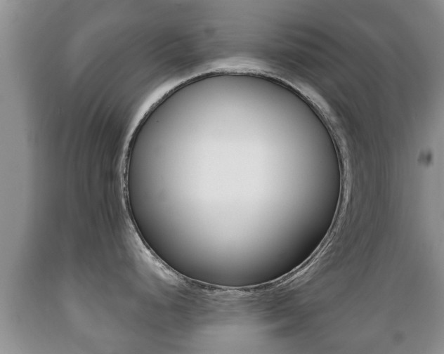 X0000089761248200706210947