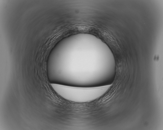 X0000089761249200706210946
