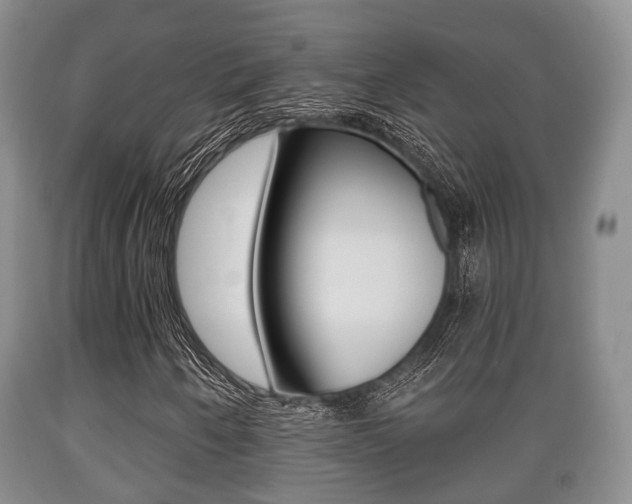 X0000089761250200706210946