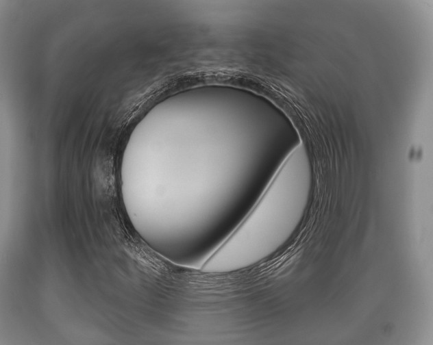 X0000089761252200706210946