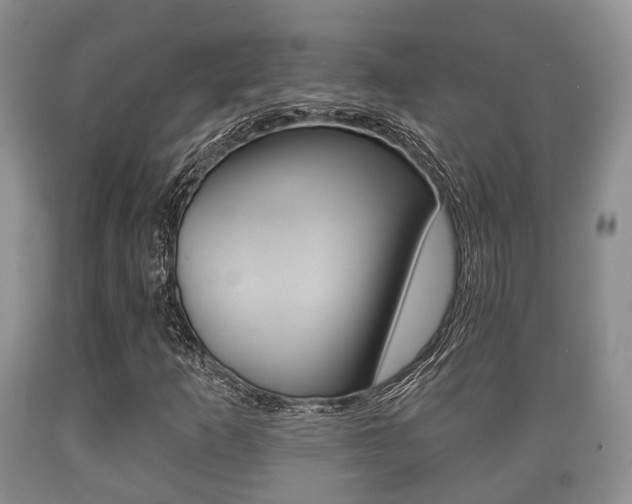 X0000089761253200706210946