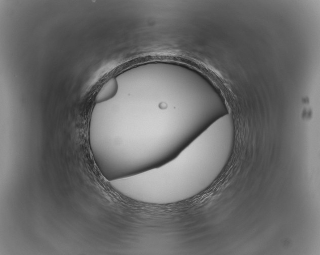 X0000089761255200706210946