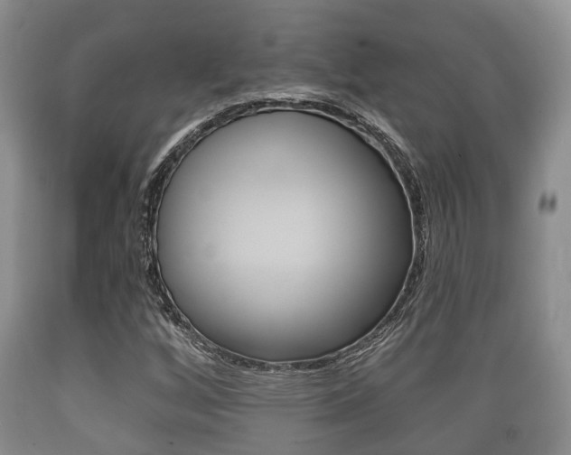 X0000089761256200706210946