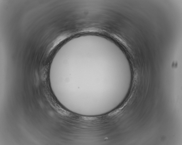 X0000089761258200706210946
