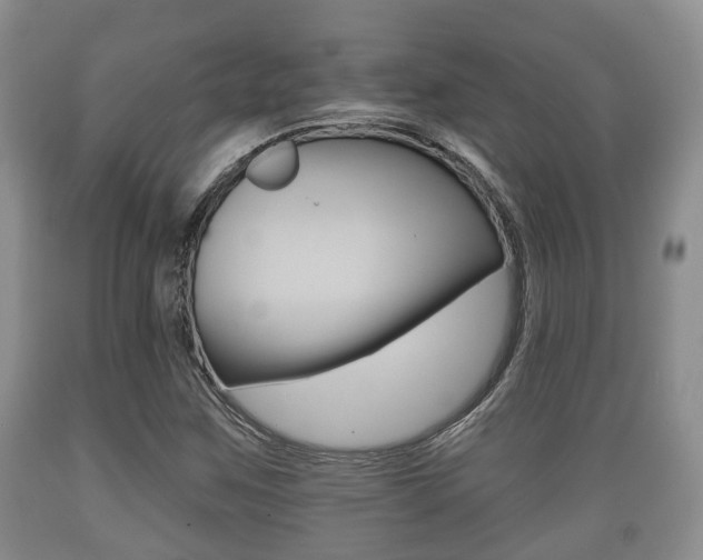 X0000089761259200706210946