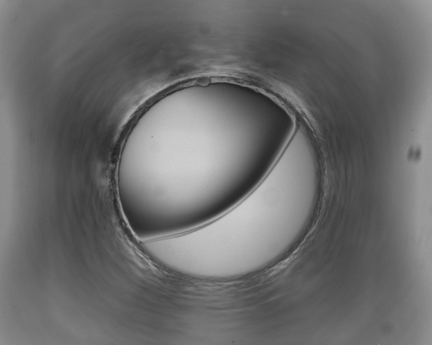 X0000089761260200706210946