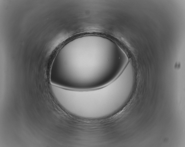 X0000089761261200706210946