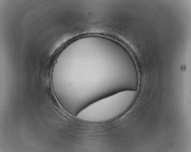 X0000089761262200706210946