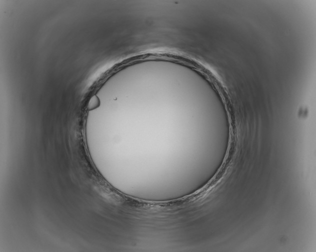 X0000089761263200706210946