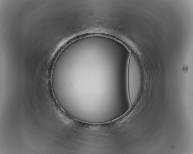 X0000089761264200706210946