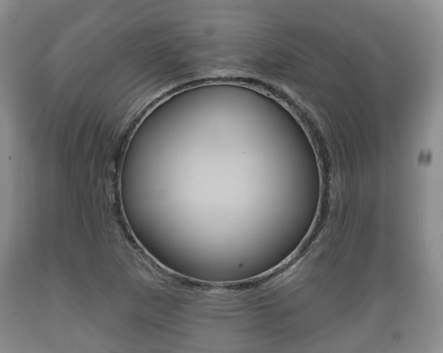 X0000089761265200706210946