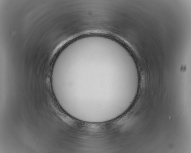 X0000089761266200706210946