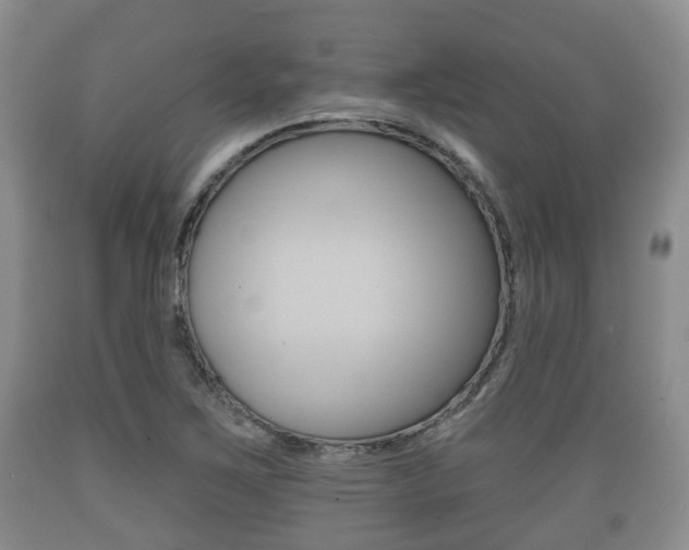 X0000089761267200706210946