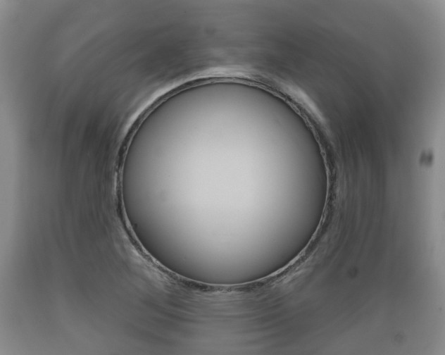 X0000089761268200706210946