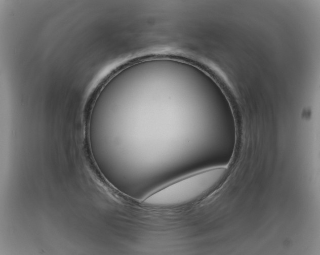X0000089761270200706210946