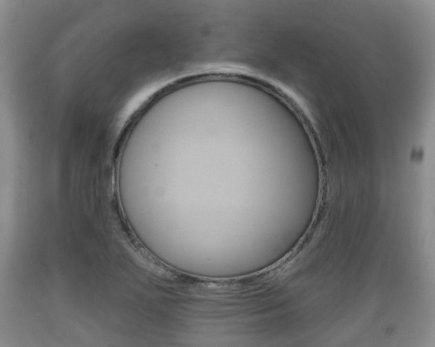 X0000089761271200706210945