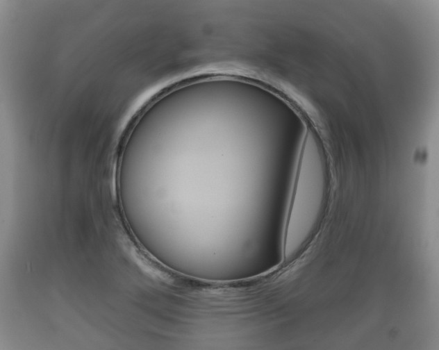X0000089761272200706210945