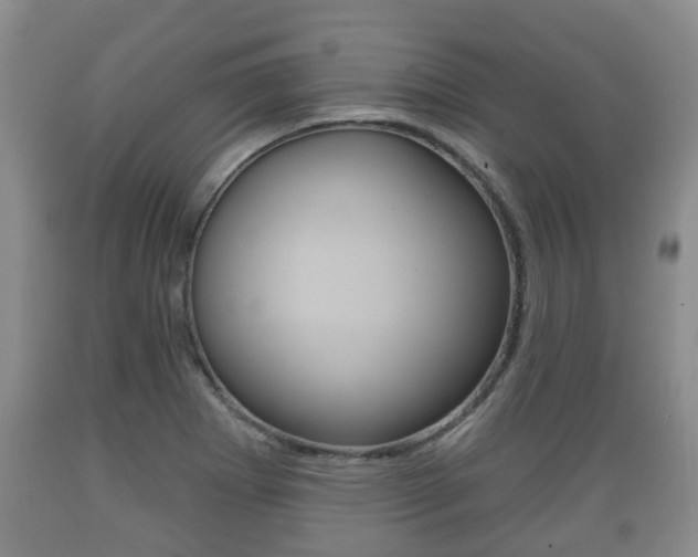 X0000089761273200706210945