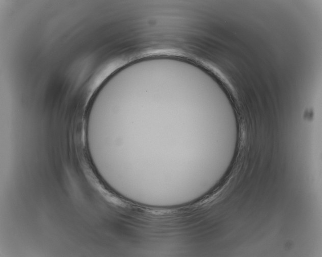 X0000089761274200706210945