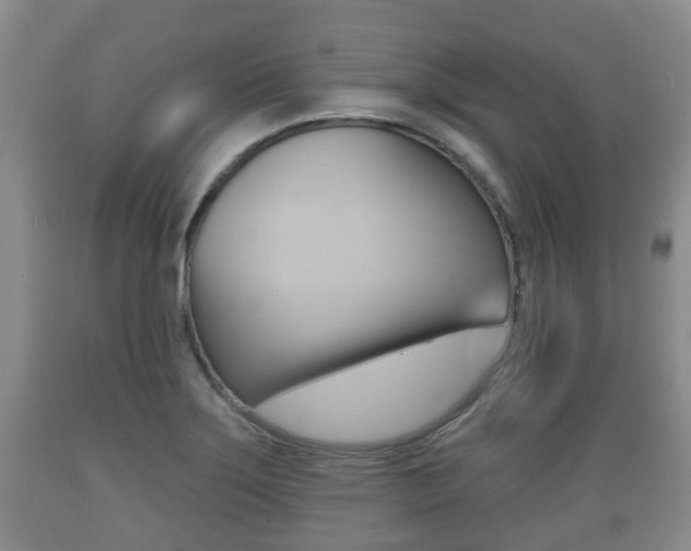 X0000089761275200706210945