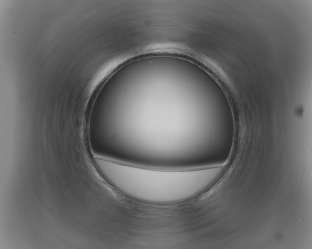 X0000089761277200706210945