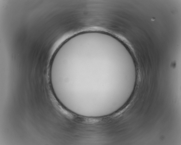 X0000089761278200706210945