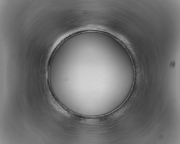 X0000089761280200706210945