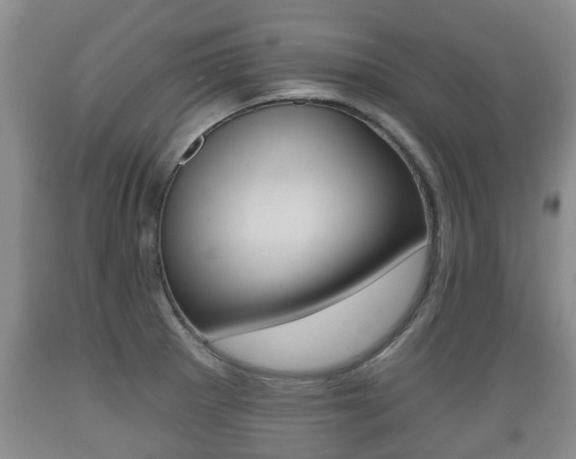 X0000089761281200706210945
