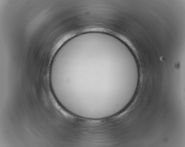 X0000089761282200706210945