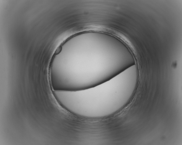X0000089761283200706210945