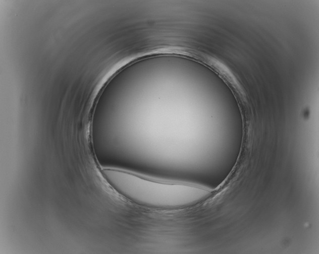 X0000089761284200706210945