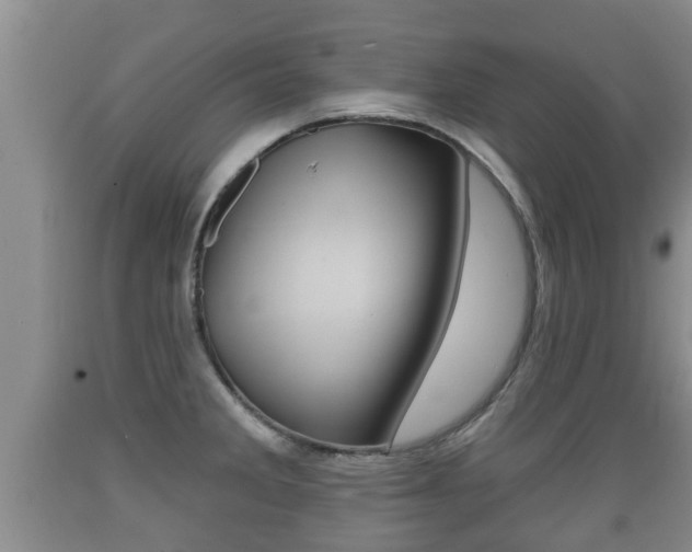 X0000089761285200706210945