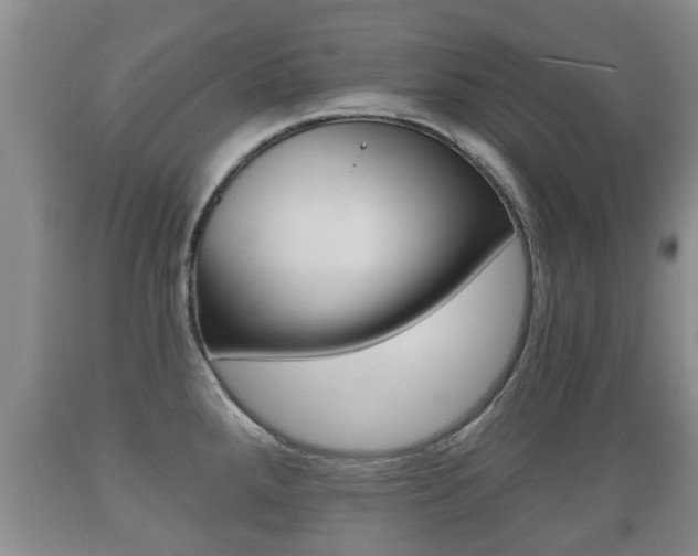X0000089761288200706210945