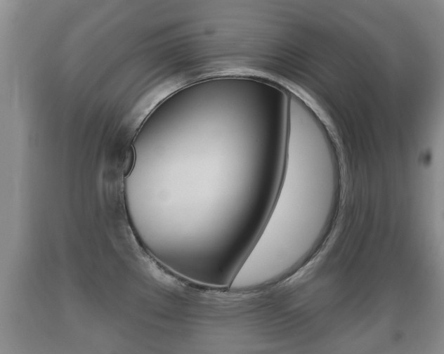 X0000089761289200706210945