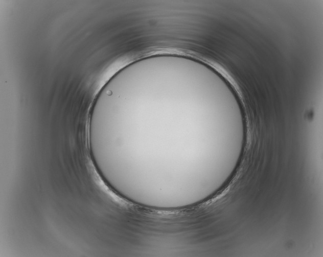 X0000089761290200706210945