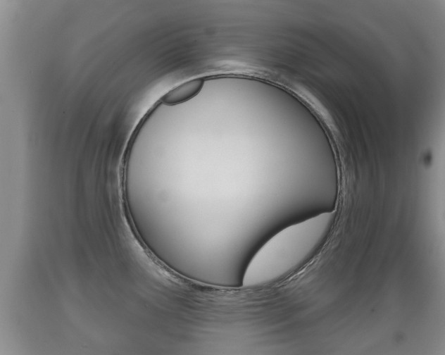 X0000089761291200706210945
