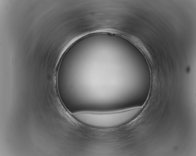 X0000089761292200706210945