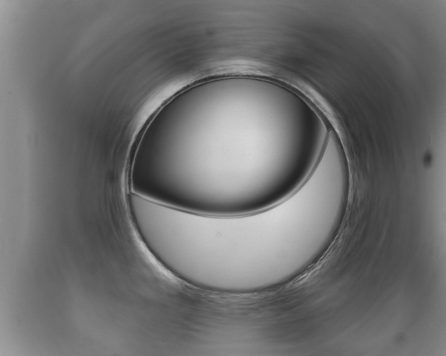 X0000089761293200706210945