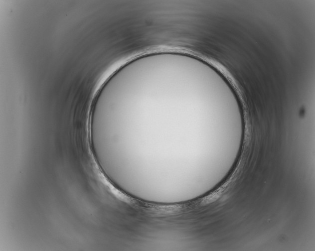 X0000089761294200706210945