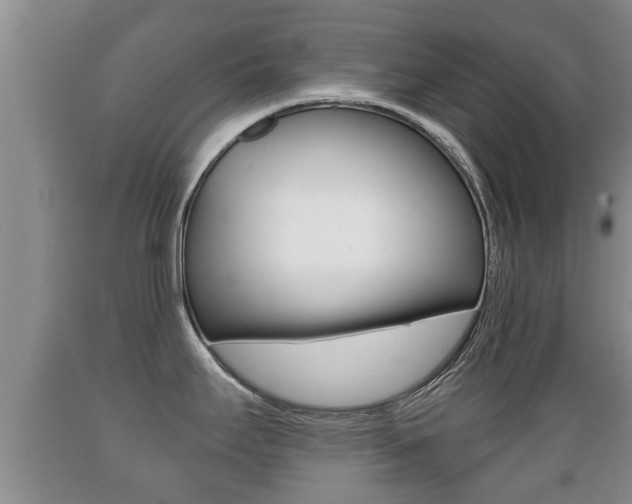 X0000089761295200706210945