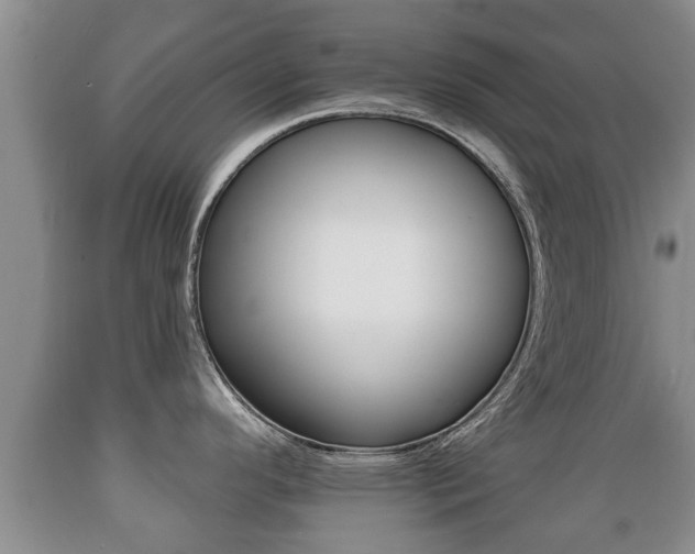 X0000089761296200706210945