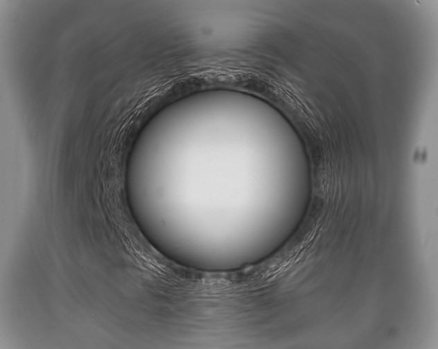 X0000089761297200706210944