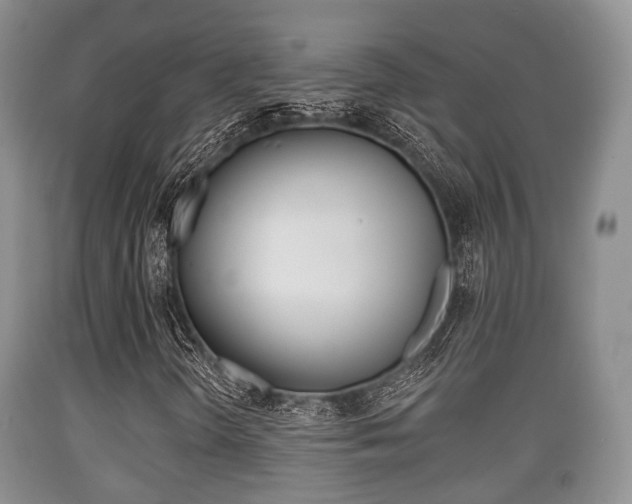 X0000089761298200706210944