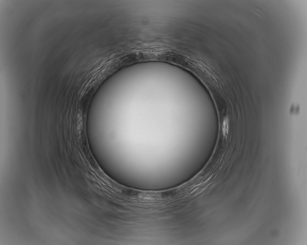 X0000089761299200706210945