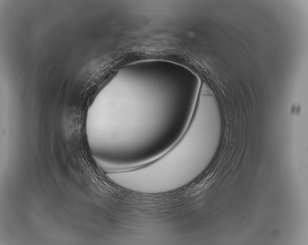 X0000089761300200706210945